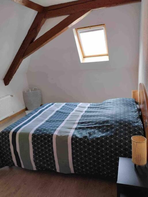 David Appartement